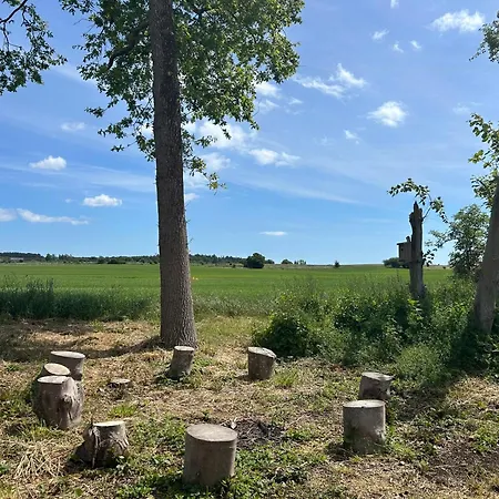 Retro With Field Views Near Ebeltoft
