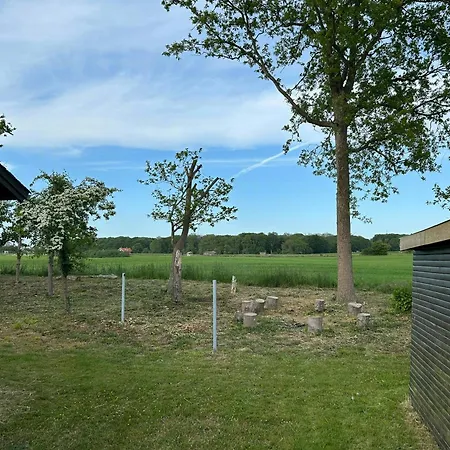 Retro With Field Views Near
